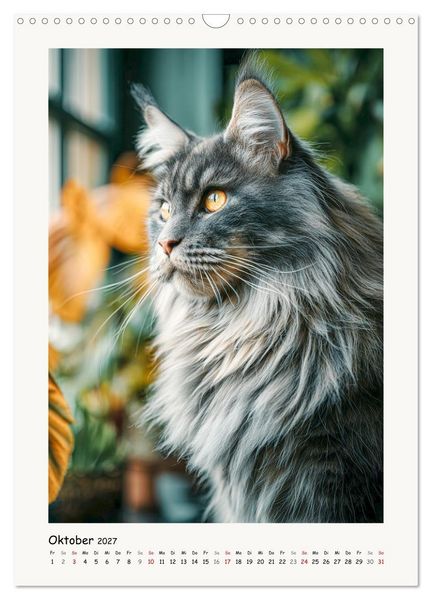 Produktbild: Main-Coon-Katzen. Sanfte Riesen im Gr&uuml;nen (Wandkalender 2027 DIN A3 hoch), CALVENDO Monatskalender