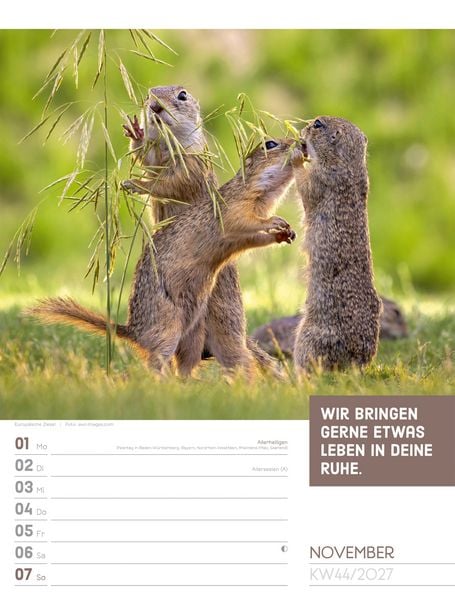 Produktbild: Tierisch Spr&uuml;chekalender Wochenplaner 2027