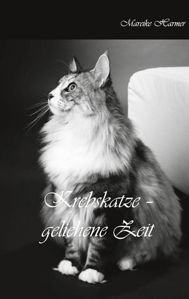 Produktbild: Krebskatze