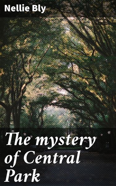 Produktbild: The mystery of Central Park