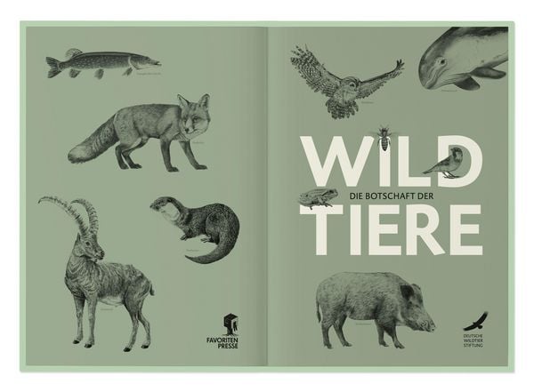 Produktbild: Die Botschaft der Wildtiere