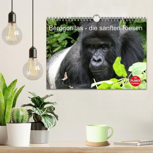 Produktbild: Berggorillas - die sanften Riesen (Wandkalender 2027 DIN A4 quer), CALVENDO Monatskalender