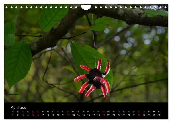 Produktbild: Die Welt der Fruchtgummis (Wandkalender 2026 DIN A4 quer), CALVENDO Monatskalender