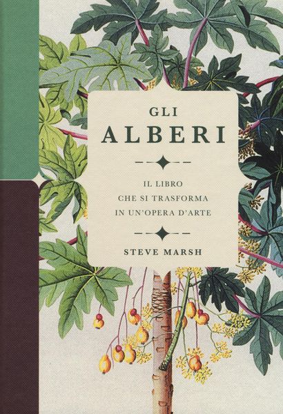 Produktbild: Gli alberi. Il libro che si trasforma in un'opera d'arte