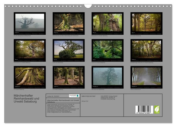 Produktbild: M&auml;rchenhafter Reinhardswald und Urwald Sababurg (Wandkalender 2026 DIN A3 quer), CALVENDO Monatskalender