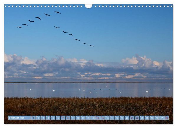 Produktbild: Stralsund und die Boddenlandschaft (Wandkalender 2026 DIN A3 quer), CALVENDO Monatskalender