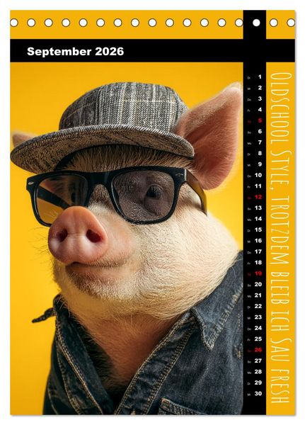 Produktbild: Coole Sau - Lustiger Spr&uuml;che Kalender mit witzigen Schweinchen (Tischkalender 2026 DIN A5 hoch), CALVENDO Monatskalender
