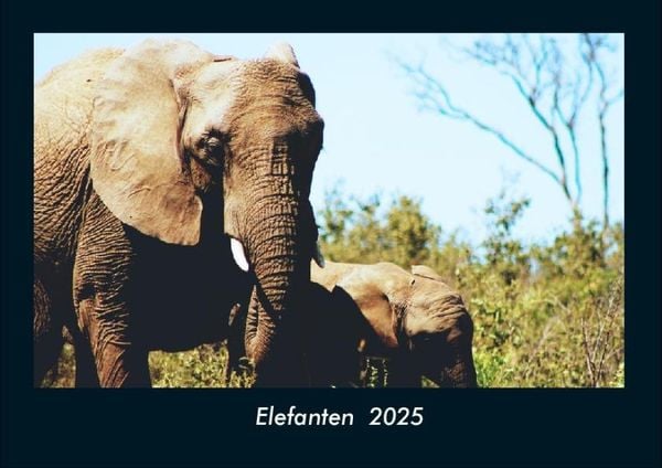 Produktbild: Elefanten 2025 Fotokalender DIN A4