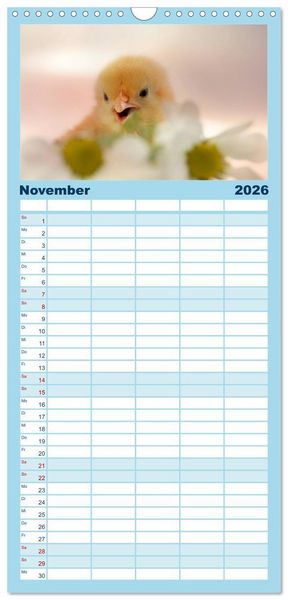 Produktbild: Familienplaner 2026 - K&uuml;ken in der Kinderstube mit 5 Spalten (Wandkalender, 21 x 45 cm) CALVENDO