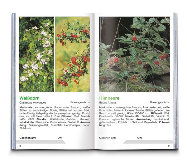 Produktbild: KOMPASS Naturf&uuml;hrer Heilpflanzen, der handliche Begleiter in die Natur