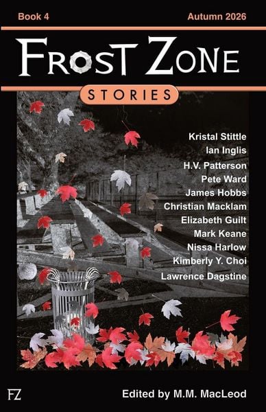 Produktbild: Frost Zone Stories book 4