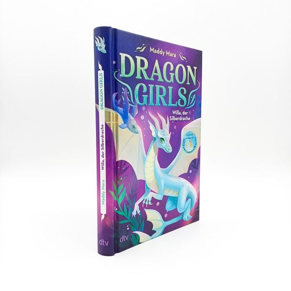Produktbild: Dragon Girls &ndash; Willa, der Silberdrache