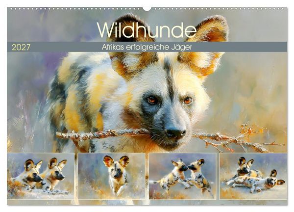Produktbild: Wildhunde. Afrikas erfolgreiche J&auml;ger (Wandkalender 2027 DIN A2 quer), CALVENDO Monatskalender