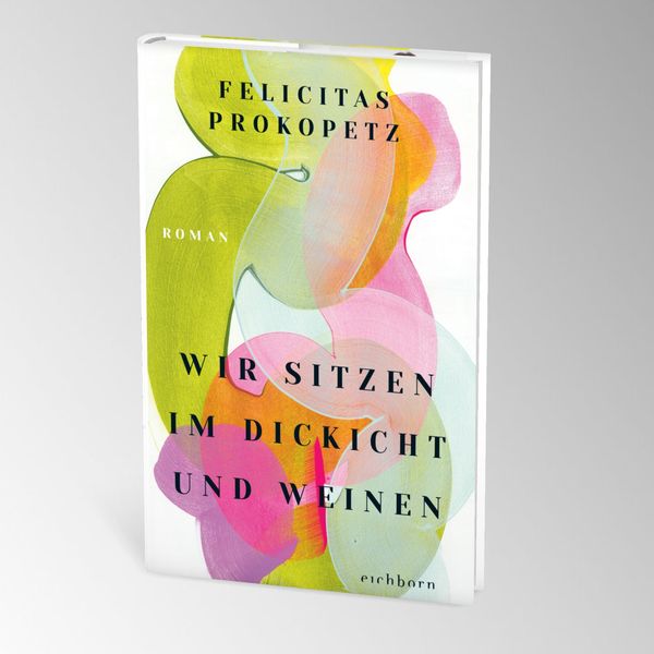 Produktbild: Wir sitzen im Dickicht und weinen