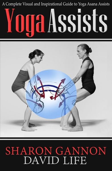 Produktbild: Yoga Assists