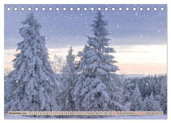 Produktbild: Leise durch den Wald. Sich Zeit nehmen und der Stille lauschen (Tischkalender 2026 DIN A5 quer), CALVENDO Monatskalender
