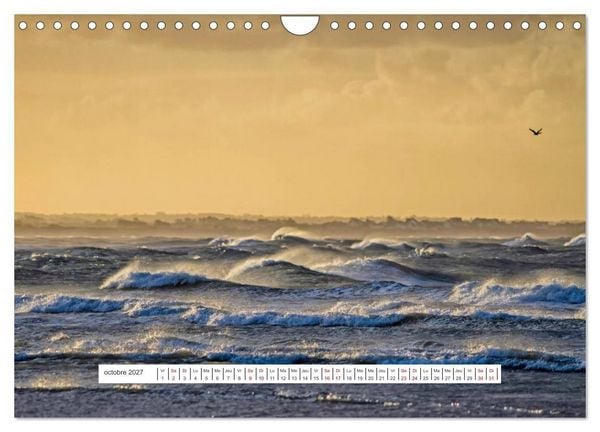 Produktbild: J'adore Le Cotentin (Calendrier mural 2027 DIN A4 vertical), CALVENDO calendrier mensuel