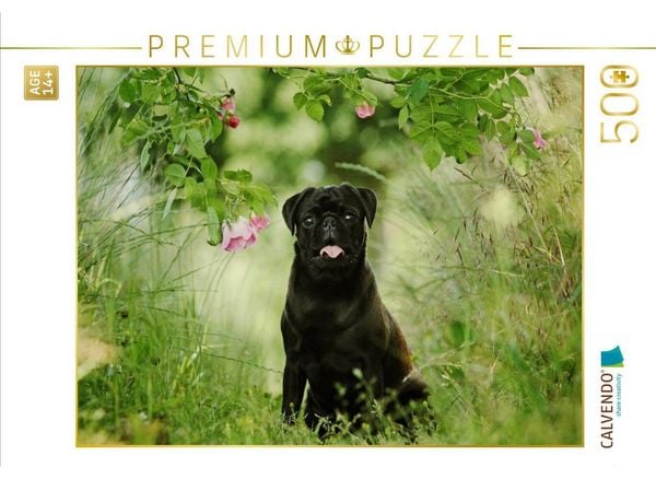 CALVENDO Puzzle Schwarzer Mops | 500 Teile Lege-Größe 48 × 36 cm Foto-Puzzle für Erwachsene