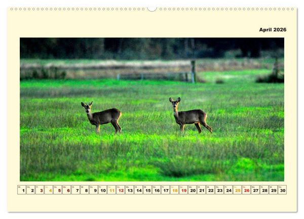 Produktbild: Unser Land im Norden (hochwertiger Premium Wandkalender 2026 DIN A2 quer), Kunstdruck in Hochglanz
