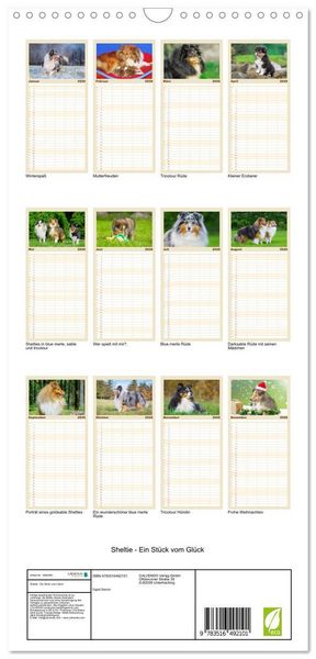Produktbild: Familienplaner 2026 - Sheltie - Ein St&uuml;ck vom Gl&uuml;ck mit 5 Spalten (Wandkalender, 21 x 45 cm) CALVENDO