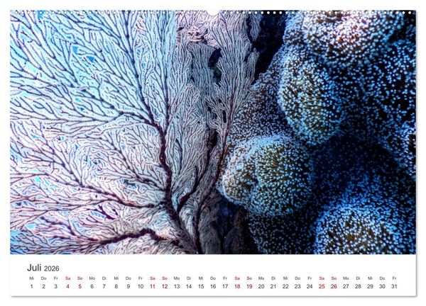 Produktbild: Tiefsee - Ein Abenteuer ins Unbekannte. (hochwertiger Premium Wandkalender 2026 DIN A2 quer), Kunstdruck in Hochglanz