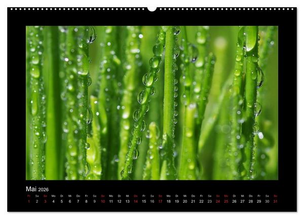 Produktbild: Meine kleine gr&uuml;ne Wassertropfen Welt (hochwertiger Premium Wandkalender 2026 DIN A2 quer), Kunstdruck in Hochglanz