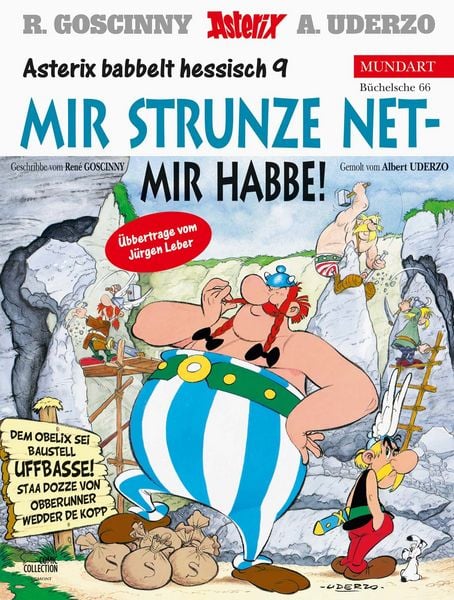 Produktbild: Asterix Mundart Hessisch IX