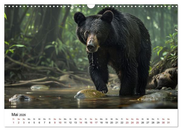 Produktbild: Magische Tierwelt Asiens (Wandkalender 2026 DIN A3 quer), CALVENDO Monatskalender