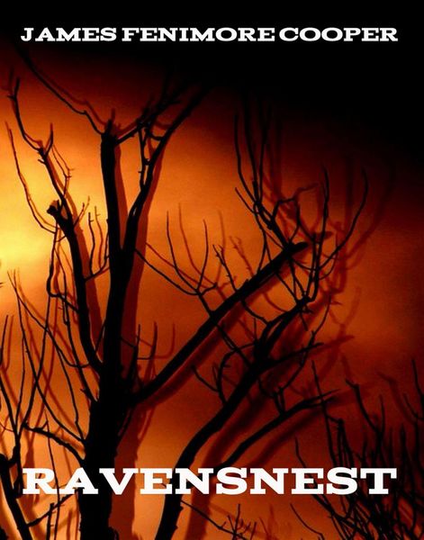 Produktbild: Ravensnest