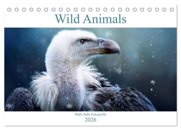 Produktbild: Wild Animals - Wilde Tiere (Tischkalender 2026 DIN A5 quer), CALVENDO Monatskalender
