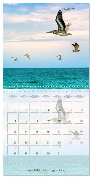 Produktbild: Florida &ndash; Discoveries in the Sunshine State (Wall Calendar 2026 12 &times; 12 Inch) CALVENDO 12 Month Wall Calendar