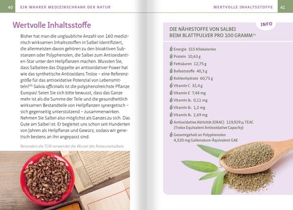 Produktbild: Salbei - Mutter aller Heilpflanzen. Kompakt-Ratgeber