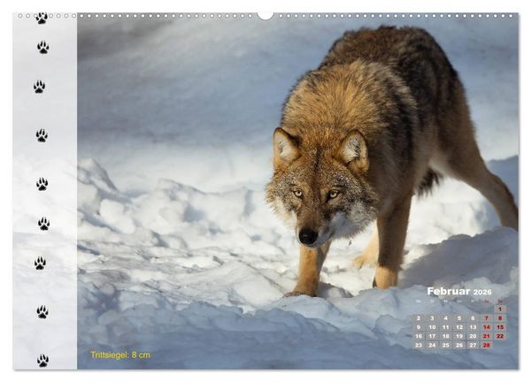 Produktbild: Tierspuren in der Natur (hochwertiger Premium Wandkalender 2026 DIN A2 quer), Kunstdruck in Hochglanz