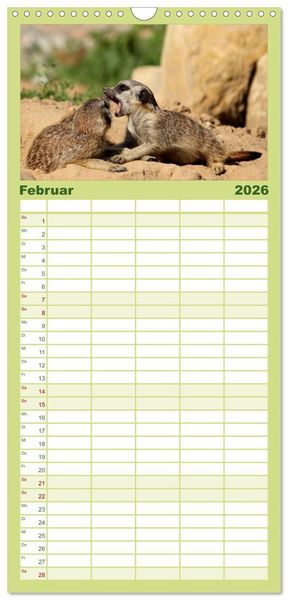 Produktbild: Familienplaner 2026 - Erdm&auml;nnchen mit 5 Spalten (Wandkalender, 21 x 45 cm) CALVENDO