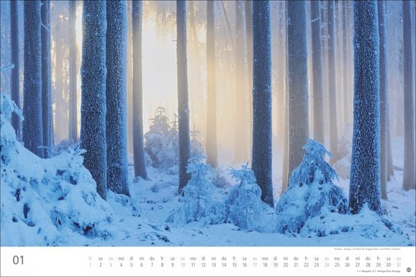 Produktbild: Wunderwelt Wald 2027