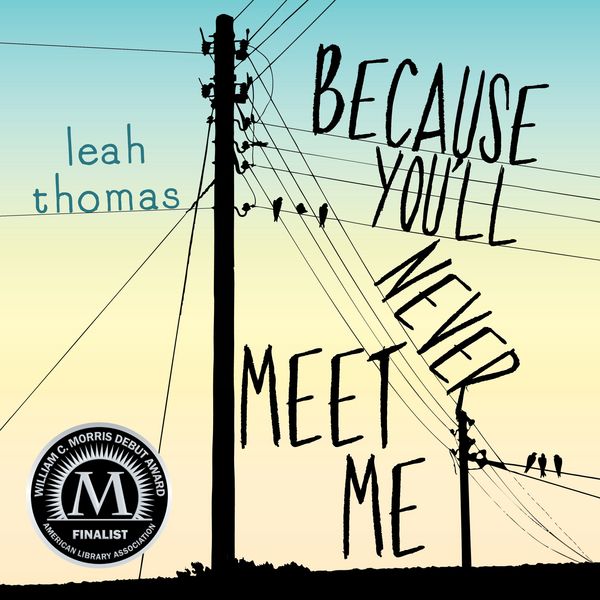 Produktbild: Because You'll Never Meet Me