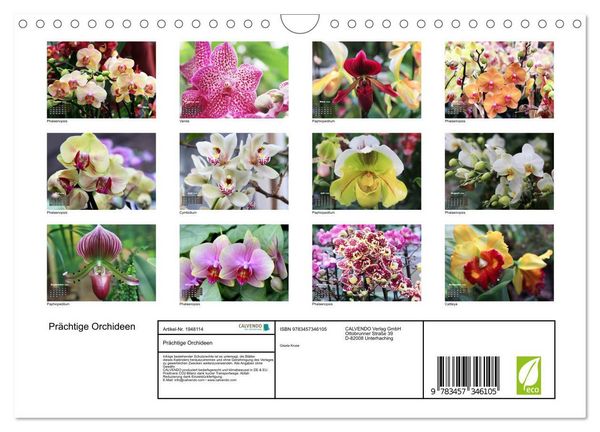 Produktbild: Pr&auml;chtige Orchideen (Wandkalender 2026 DIN A4 quer), CALVENDO Monatskalender