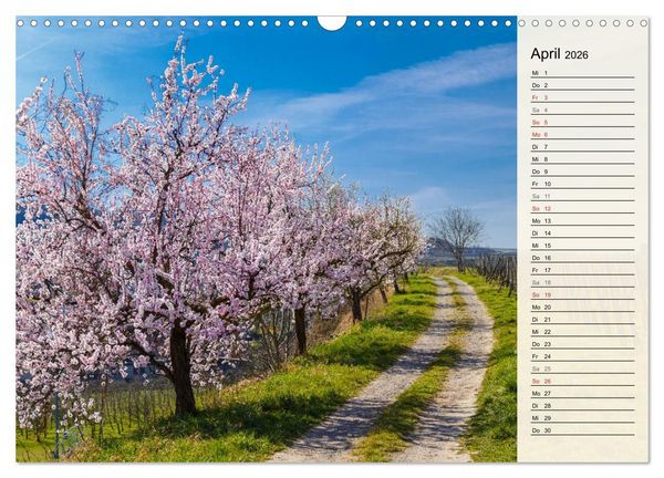 Produktbild: Auf Schusters Rappen... S&uuml;dlicher Oberrhein und S&uuml;dschwarzwald (Wandkalender 2026 DIN A3 quer), CALVENDO Monatskalender
