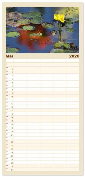 Produktbild: Familienplaner 2026 - Frosch Karl, Hans und Max im Einklang der Natur mit 5 Spalten (Wandkalender, 21 x 45 cm) CALVENDO