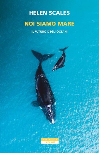Produktbild: Noi siamo mare. Il futuro degli oceani