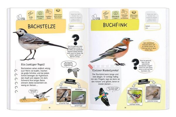 Produktbild: R&auml;tseln, Stickern, Bestimmen - V&ouml;gel