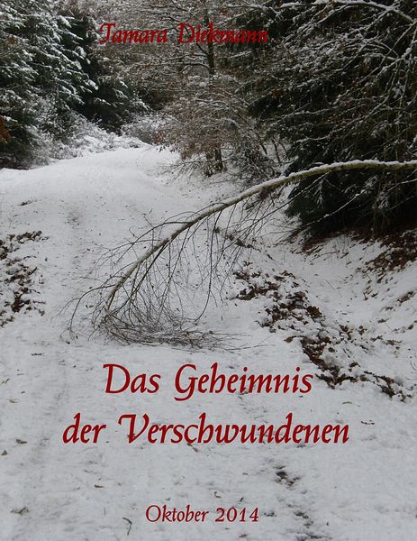 Produktbild: Das Geheimnis der Verschwundenen