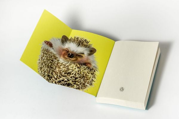 Produktbild: Wie man h&ouml;flich f**k you sagt