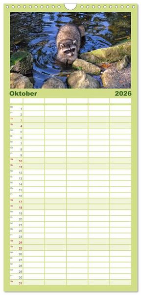 Produktbild: Familienplaner 2026 - Waschb&auml;r - Niedlicher Allesfresser mit 5 Spalten (Wandkalender, 21 x 45 cm) CALVENDO