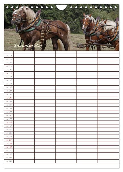 Produktbild: Der Kaltblut-Familienplaner (Wandkalender 2026 DIN A4 hoch), CALVENDO Monatskalender