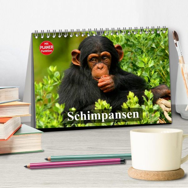 Produktbild: Schimpansen (Tischkalender 2026 DIN A5 quer), CALVENDO Monatskalender