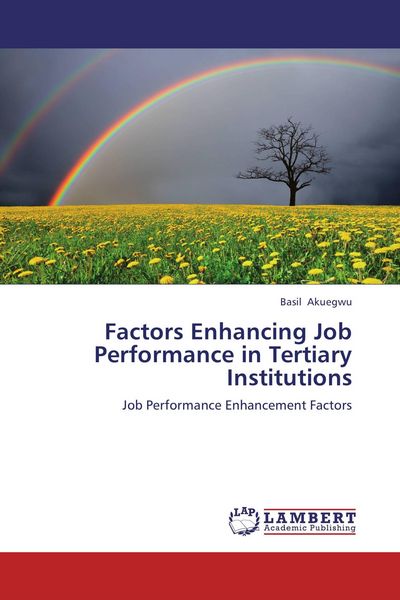 Produktbild: Factors Enhancing Job Performance in Tertiary Institutions
