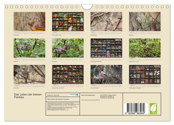 Produktbild: Das Leben der kleinen Pankies (Wandkalender 2027 DIN A4 quer), CALVENDO Monatskalender