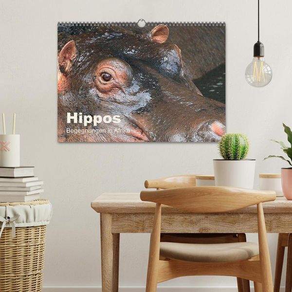 Produktbild: Hippos - Begegnungen in Afrika (Wandkalender 2026 DIN A3 quer), CALVENDO Monatskalender