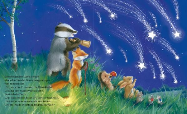 Produktbild: Der kleine Igel und die Sternschnuppen